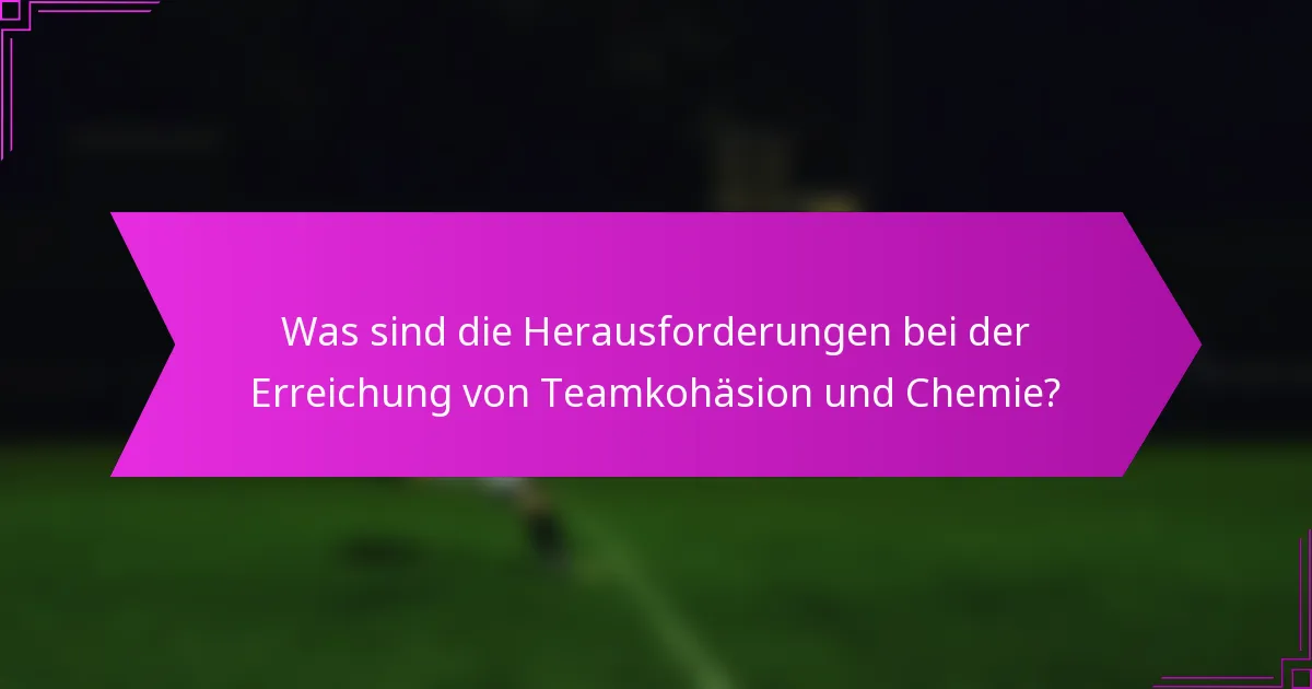 Was sind die Herausforderungen bei der Erreichung von Teamkohäsion und Chemie?